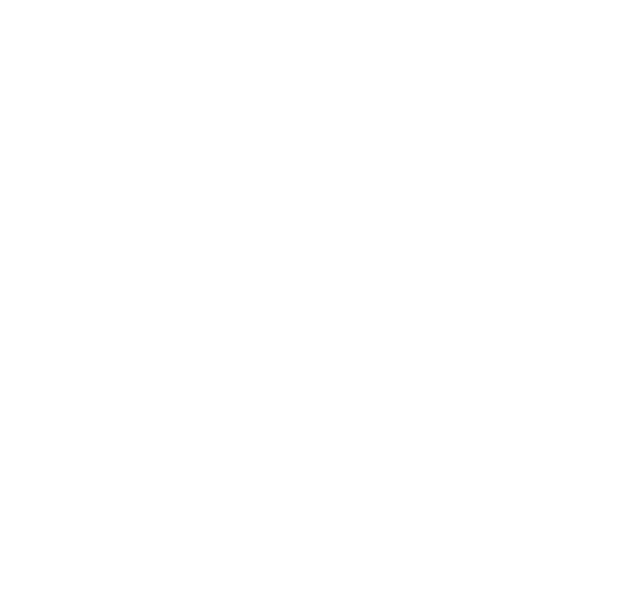 Carbon Visuals logo